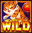 給貓紅包 ZG電子遊戲介紹